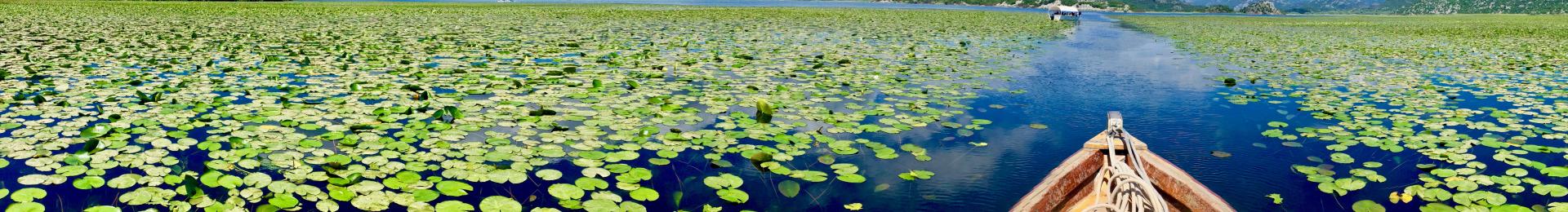 Boat landscape